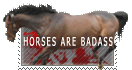 HORSES ARE BADASS!